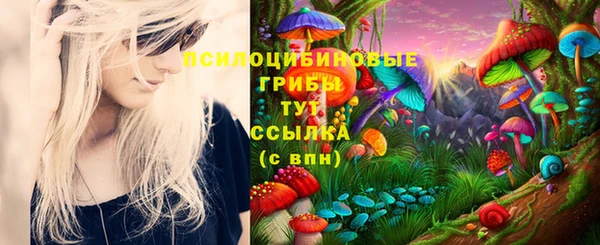 амфетамин Алексеевка