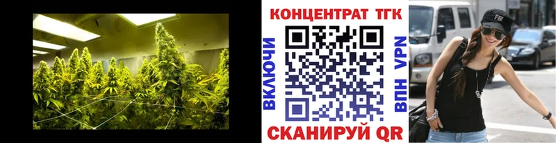 ТГК жижа где найти наркотики кракен ссылки Грайворон