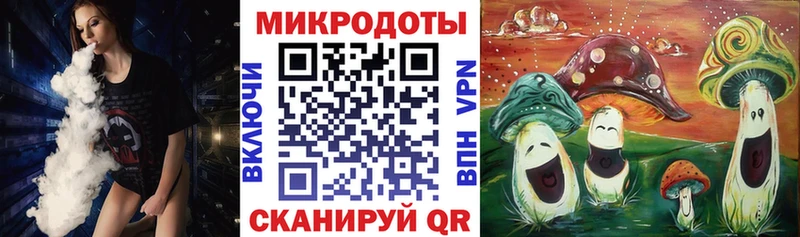 Псилоцибиновые грибы Psilocybe  мега маркетплейс  Грайворон  где продают  